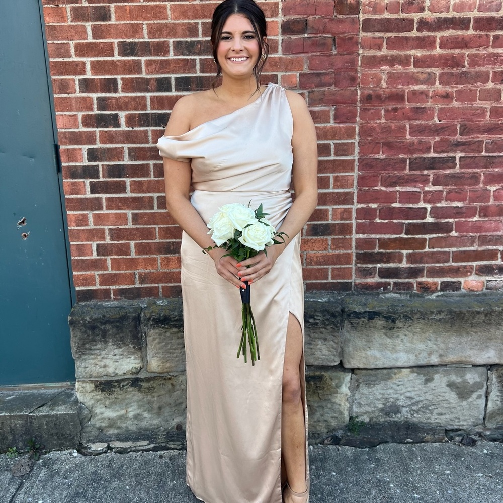 Show me your mumu luxe satin Jodie dress